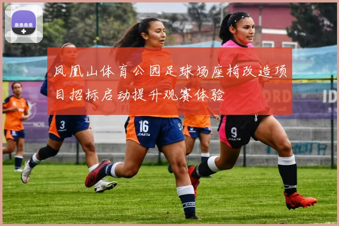 凤凰山体育公园足球场座椅改造项目招标启动提升观赛体验
